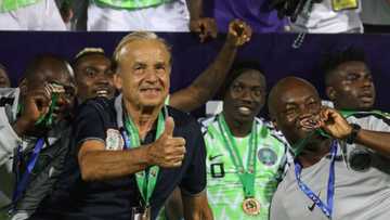 Jubilation as NFF finally pays Super Eagles coach Gernot Rohr $75,000, vows to balance up soon