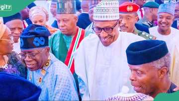 New book reveals why Buhari didn’t back Osinbajo for president: "I don’t know him from anywhere"