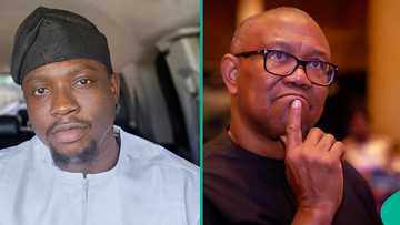 2027 coalition: Man proposes Peter Obi as VeryDarkMan's running mate, his reason ignites debate