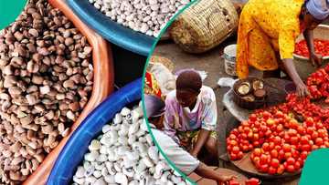 Healthy food becomes luxury as cost rises across Nigeria consuming most of minimum wage
