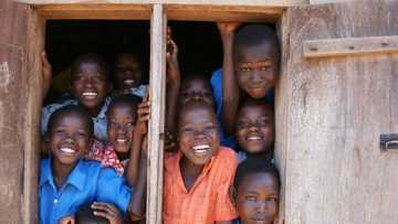 Kokarin Ibrahim wajen kawo karshen ciwon huhu