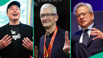Elon Musk leads as new list shows highest-paid CEOs globally
