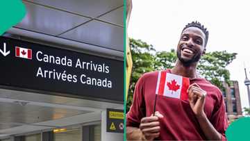 Canada immigration: IRCC issues 12 tips to avoid application delays
