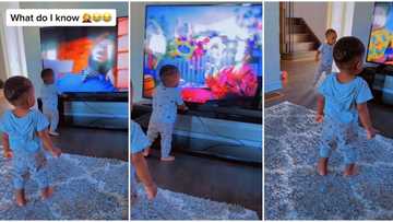 "They are not kids anymore": Nigerian mum laments as her 2 babies refuse to watch cartoon, insist on Buga