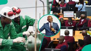Seplat Shares Hit N10,450 on NGX as Tony Elumelu Deal Drives Growth, Details Emerge