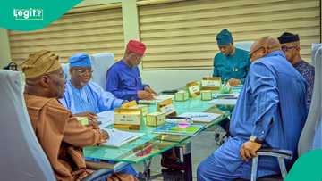 Oyo, Ogun, 2 other states to declare public holiday in August, full list, reason emerges