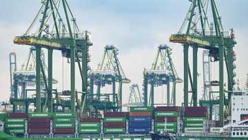 Lower shipments to US, China weigh on Singapore August exports