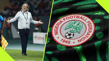 "Zero Wins in 10 Games": Philippine journalist warns NFF against appointing Belgian coach for Super Eagles