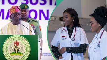 Japa: “FG recruits 2,497 doctors, others”, Tinubu releases N50 billion to address manpower shortage