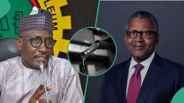 Nigeria's petrol imports from Malta soar to $2.8billion amid Dangote's allegations against NNPC