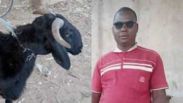 Wani bakatsine ya sauya sunansa daga Buhari zuwa Sulaiman, ya fadi dalili