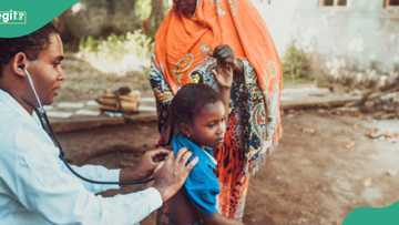 "We don't understand": Panic as mysterious illness claims 45 lives in Kano, cause under investigation
