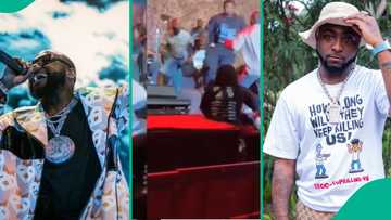 Davido on high alert as fan breaches security during 5Alive concert in Abidjan