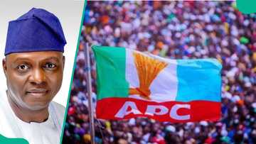 Breaking: Tinubu, governors reportedly agree on who should replace Ganduje as APC chairman