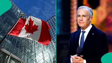 Full list of 5 side hustles in Canada for new immigrants that pay well