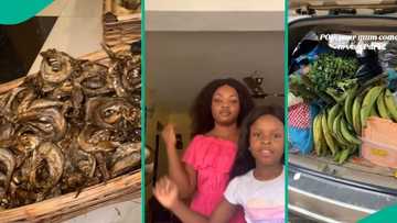 Nigerian mother brings emotional gift of fresh fruits and fish to married daughter