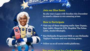 Celebrate this festive season with Hollandia Blue Santa