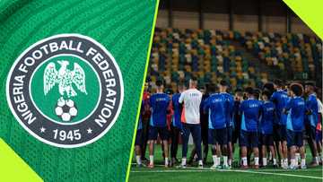 NFF chief proposes punishment for Libya following Super Eagles airport incident