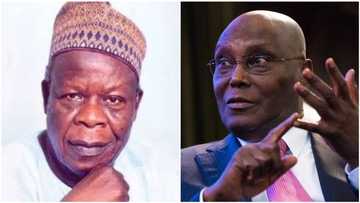 Yayan Atiku Abubakar na Yola, yace Buhari ne zai ci zabe