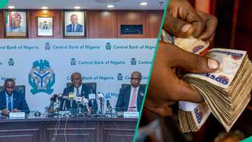 CBN updates GTB, Zenith, Access, UBA, FCMB, other banks' savings rates on customers’ accounts