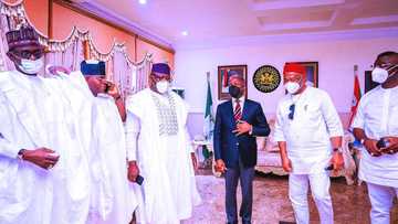 2023: Osinbajo mobilization group becomes first to be recognised by APC