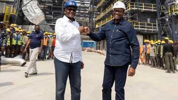 Matatar Dangote da za a karasa a 2022 za ta dauki mutum 38, 000 aiki - Shugaban AfDB