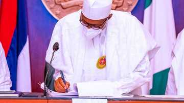This is my verdict! Deliver on targets or get sanctioned, Buhari warns revenue generating agencies