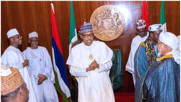 2023: President Buhari discloses his personal plan after leaving office