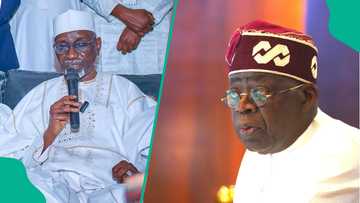 Tears as former Kano Governor Shekarau is bereaved, Tinubu reacts