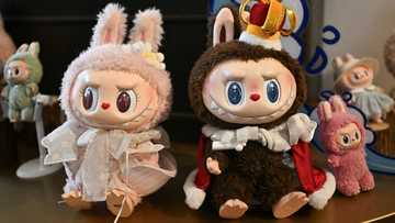 Monsters and memes: Labubu dolls ride China soft-power wave