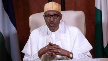 I will do my best for every Nigerian in my second term - Buhari