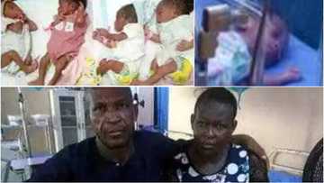 42-year-old woman delivers quintuplets after 18 years of waiting