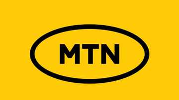 How to borrow credit or data from MTN in 2024 in few steps