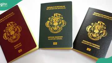 List of Africa's top 10 most powerful passports in 2026