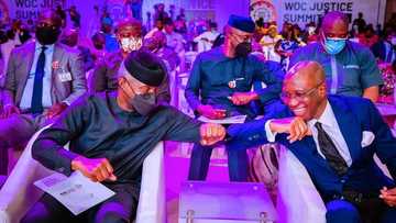 We must urgently address slow judicial process, Osinbajo declares, gives reasons