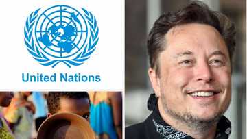 World richest man, Elon Musk challenges UN to show its calculation and get N2.4trn to end hunger in the world