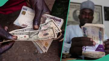Naira crashes again against US dollar, CBN gives new exchange rate