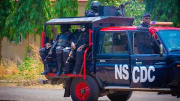 NSCDC Ta Cafke Dalibi Ajin Karshe Na Jami'ar ABU Kan Zargin Hallaka Yaro Kan Zargin Luwadi, Ya Fadi Dalili