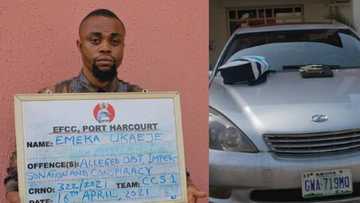 EFCC Ta Kama 'Shugaban' Masu Safaran Sassan Jikin Bil Adama