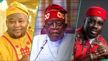 Tinubu’s re-election: Chiefpriest and 6 other Celebs rallying for president’s next campaign