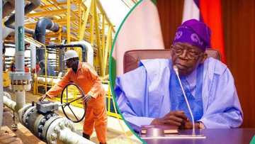 Full list: 31 companies secure 37 oil and gas blocks in Nigeria's biggest licensing round