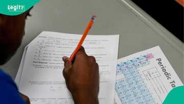 Japa: How to relocate to US as a teacher from Nigeria