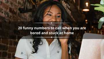 20 funny numbers to call when you are bored and stuck at home