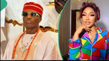 Nigerians dig out old tweet of Wizkid confessing burning desire for Tonto Dikeh: "She was chopped"