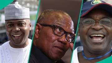 Saura kwana 80 zabe, an ji gwamnati tana binciken su Peter Obi da shugaban ADC