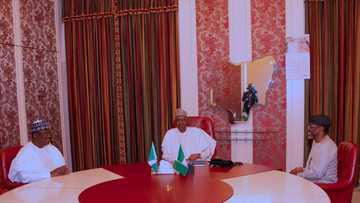 Full salaries, allowances of Lawan, Gbajabiamila, other senators, House of Reps members