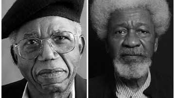 Best African writers of all time