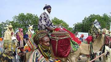 Masarautar Katsina ta soke shagulgulan babbar sallah