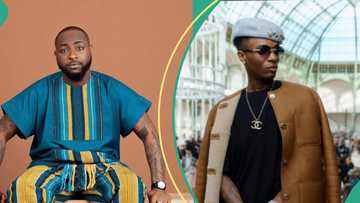 Davido vs Wizkid: Elon Musk’s AI announces number of times OBO allegedly visits Starboy's X page