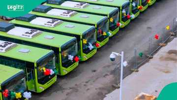 Lagos, Kwara, Ekiti, Plateau, Enugu, unveil new CNG buses with cheaper transport fares